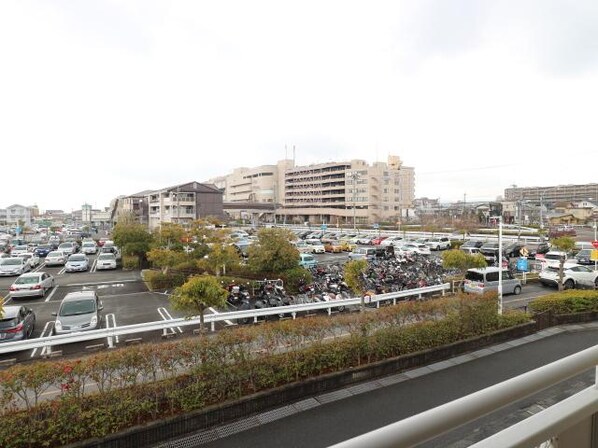 大和西大寺駅 徒歩7分 2階の物件内観写真